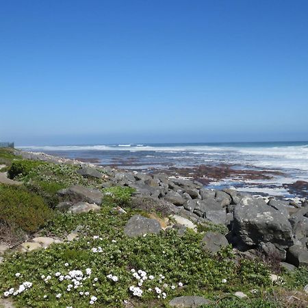 Palm Villa Cottage Kommetjie Exterior photo