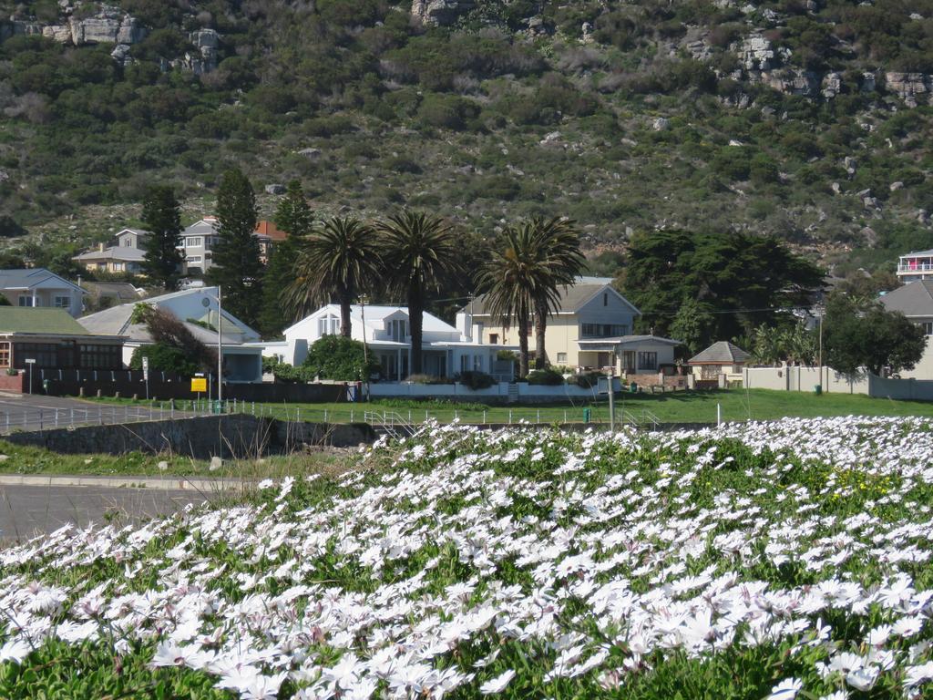 Palm Villa Cottage Kommetjie Exterior photo