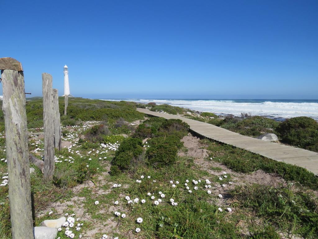 Palm Villa Cottage Kommetjie Exterior photo